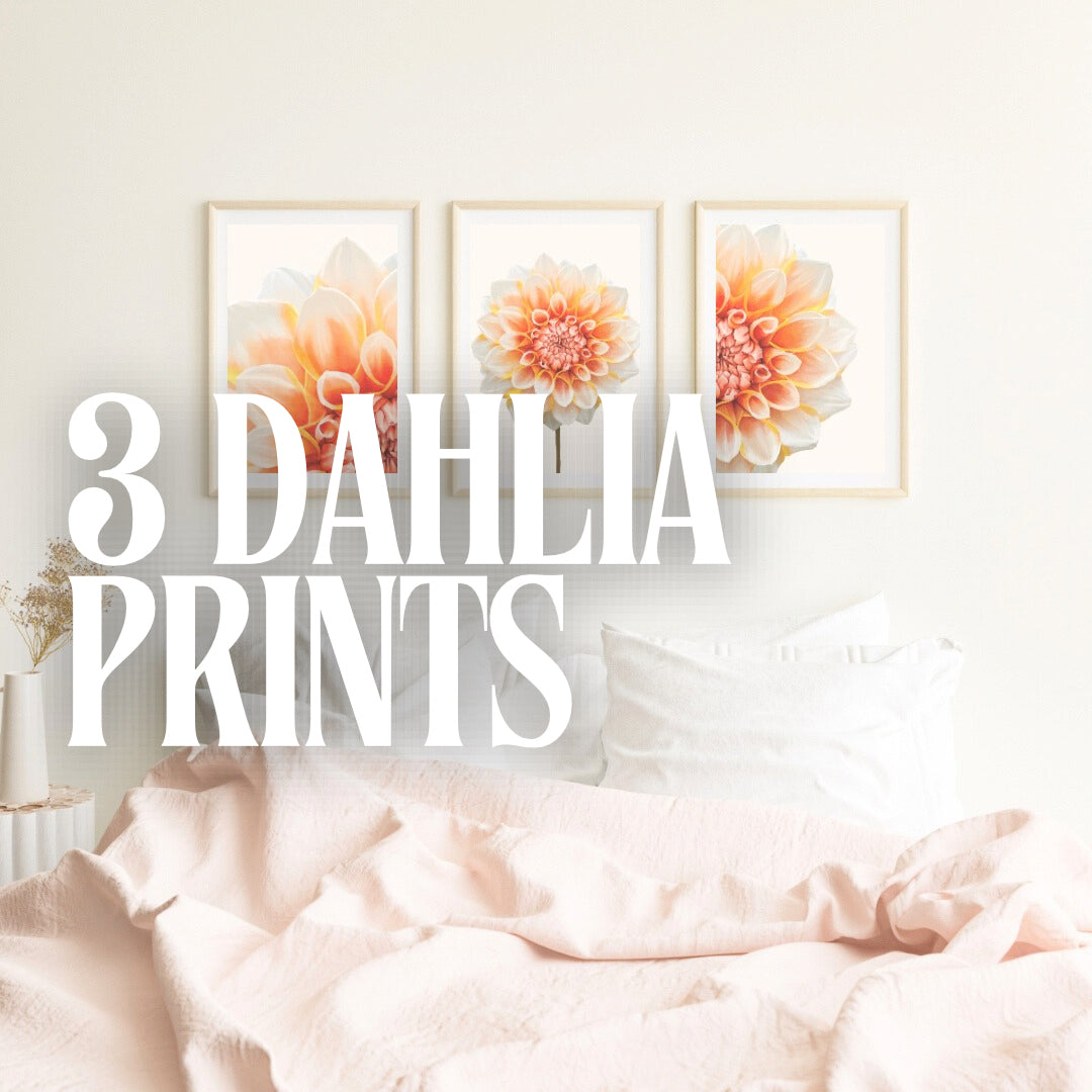 3 Dahlia Prints