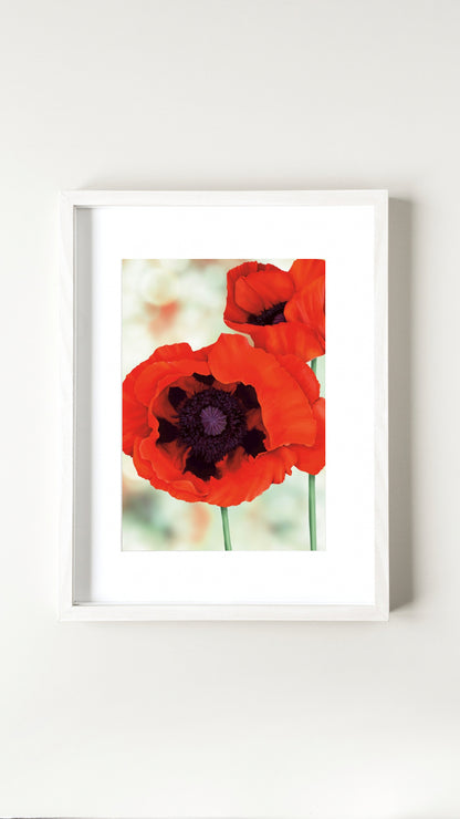 Red Poppies Print