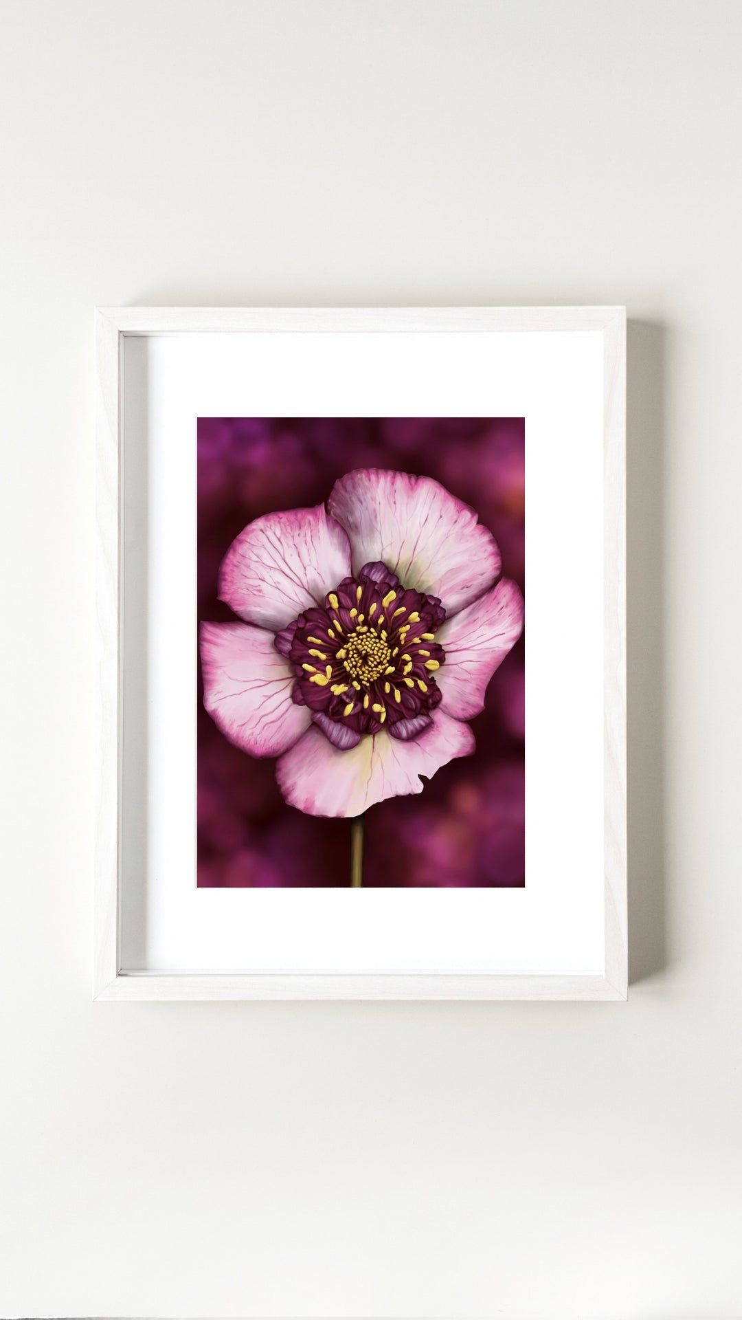 Hellebore Print