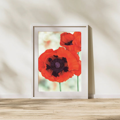 Red Poppies Print