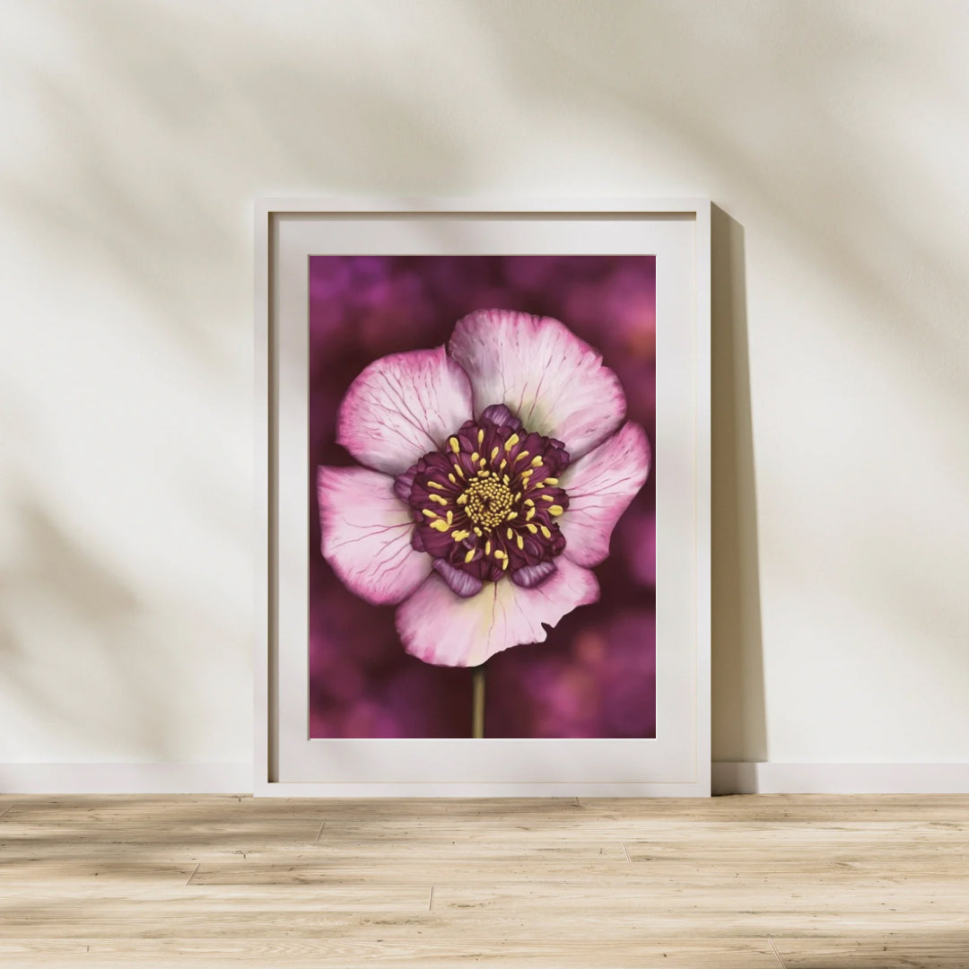 Hellebore print