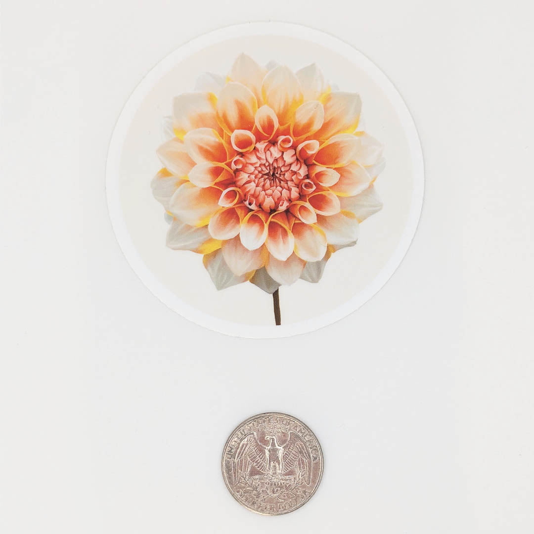 Orange Dahlia Sticker