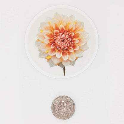 Orange Dahlia Sticker