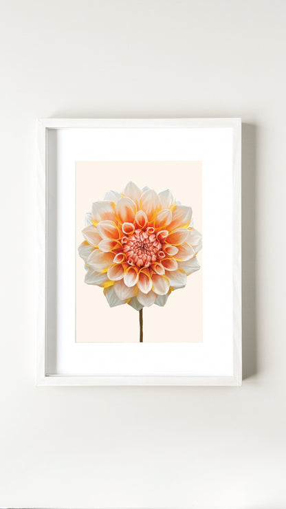 Dahlia print