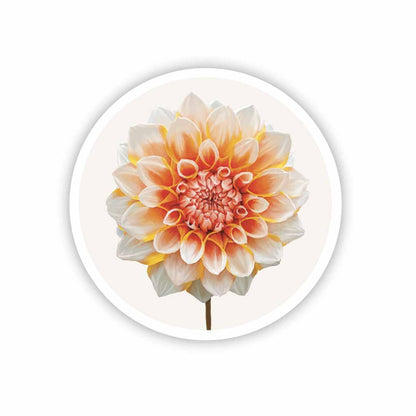 Orange Dahlia Sticker